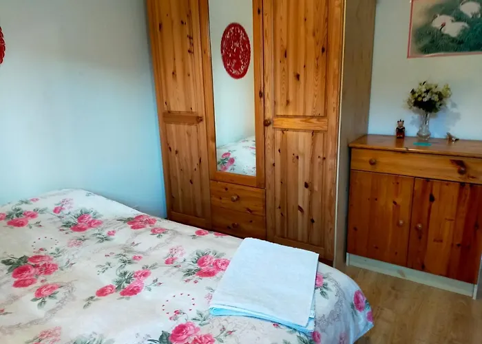 A Nice Room